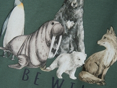 Name It dark forest be wild top